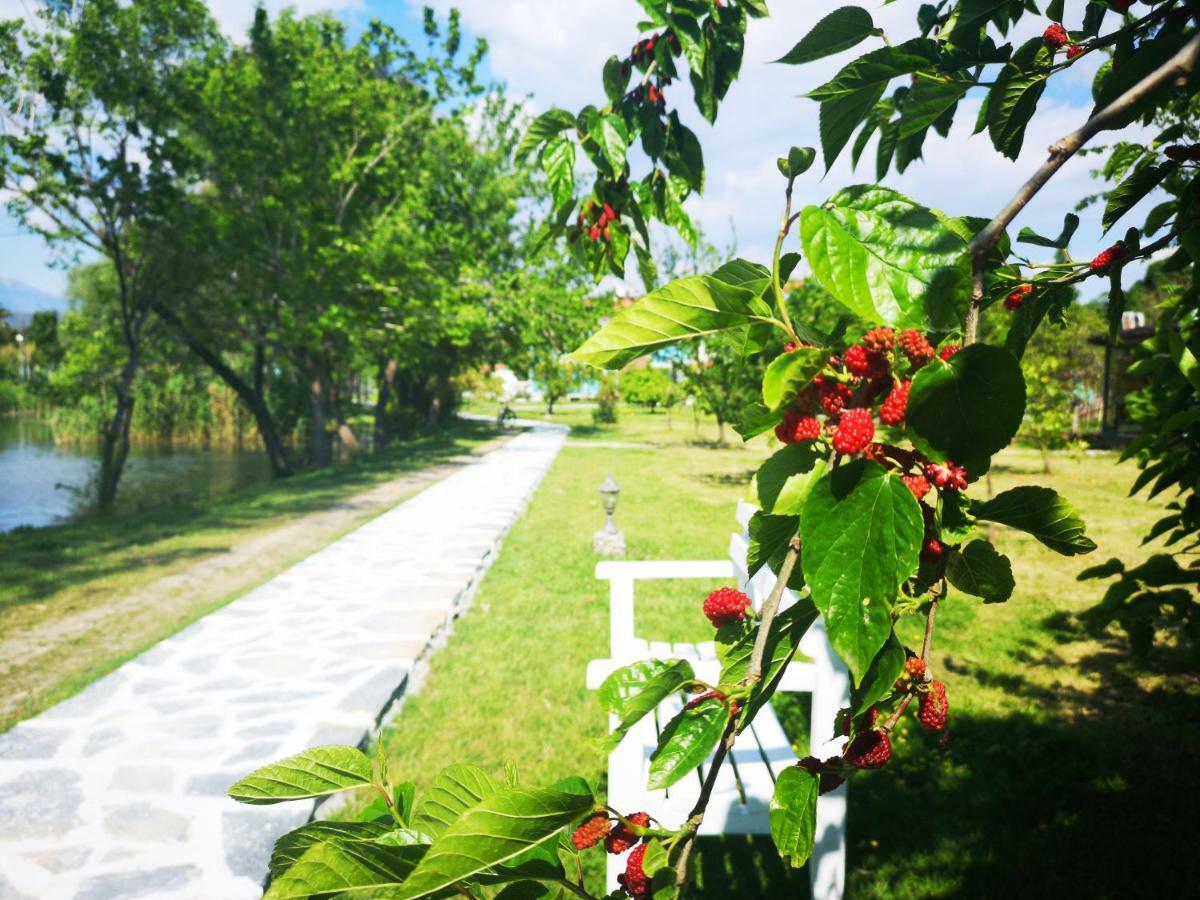 Yonca Lodge 페티예 외부 사진